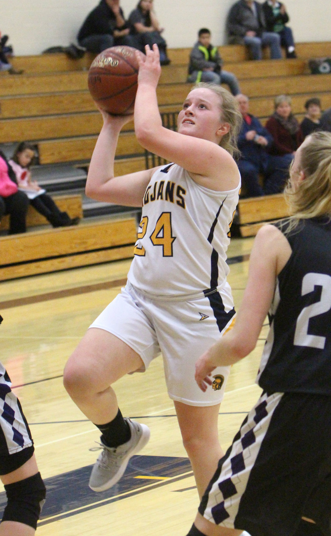 Lake Holcombe at New Auburn girls basketball 2-14-19